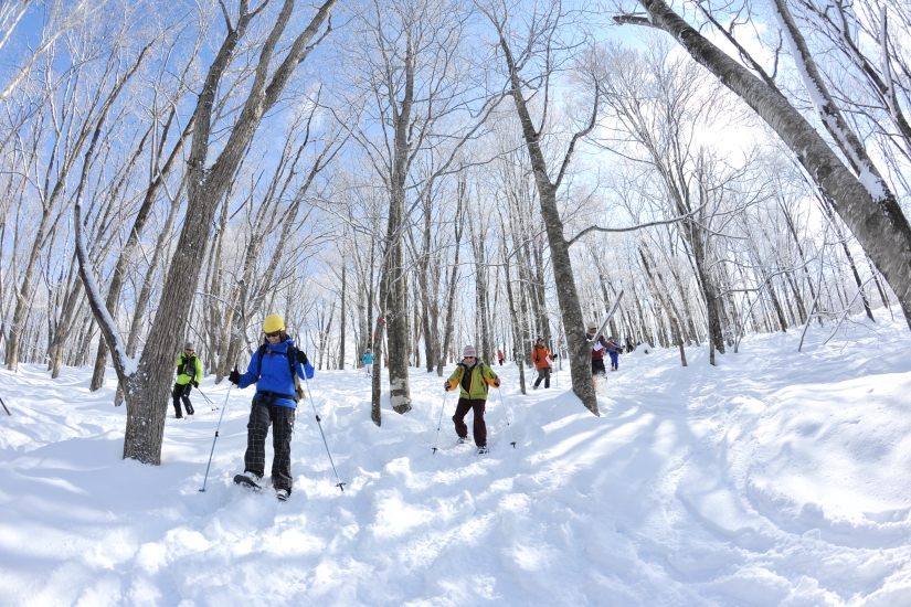 冬の岩岳を歩いて散策するスノーシューツアー