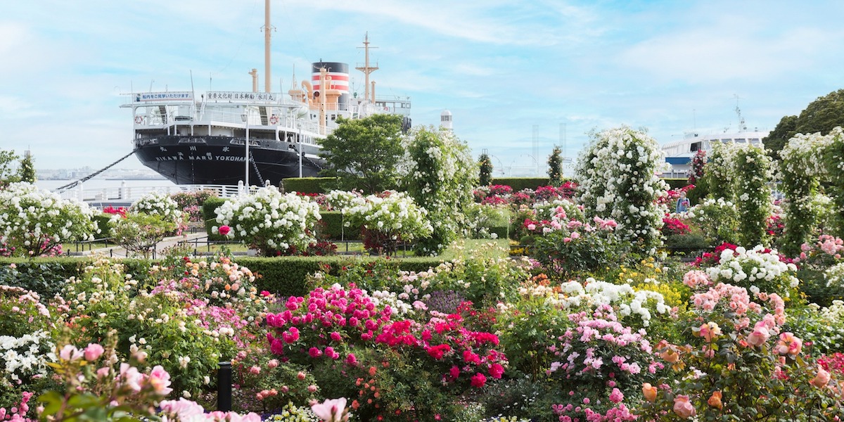 期間限定のスイーツやグルメも満載！横浜の街を花と緑で彩るフラワーリレーイベント 「ガーデンネックレス横浜 2024」が開催中！