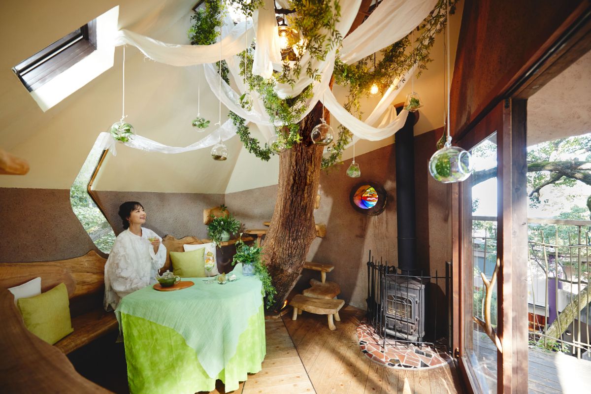 ツリーハウス「新茶香るティータイム」