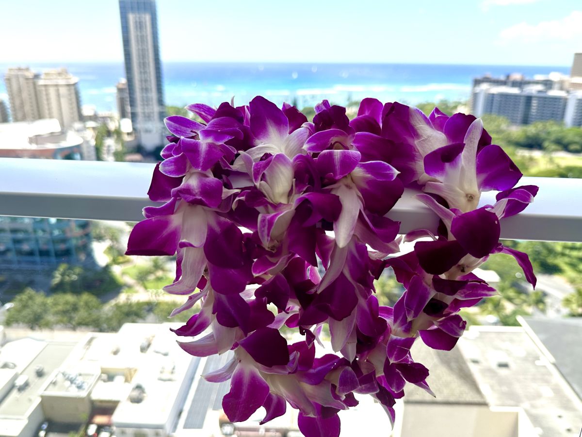 ホテル到着時にいただくオーキッドの生花のレイ