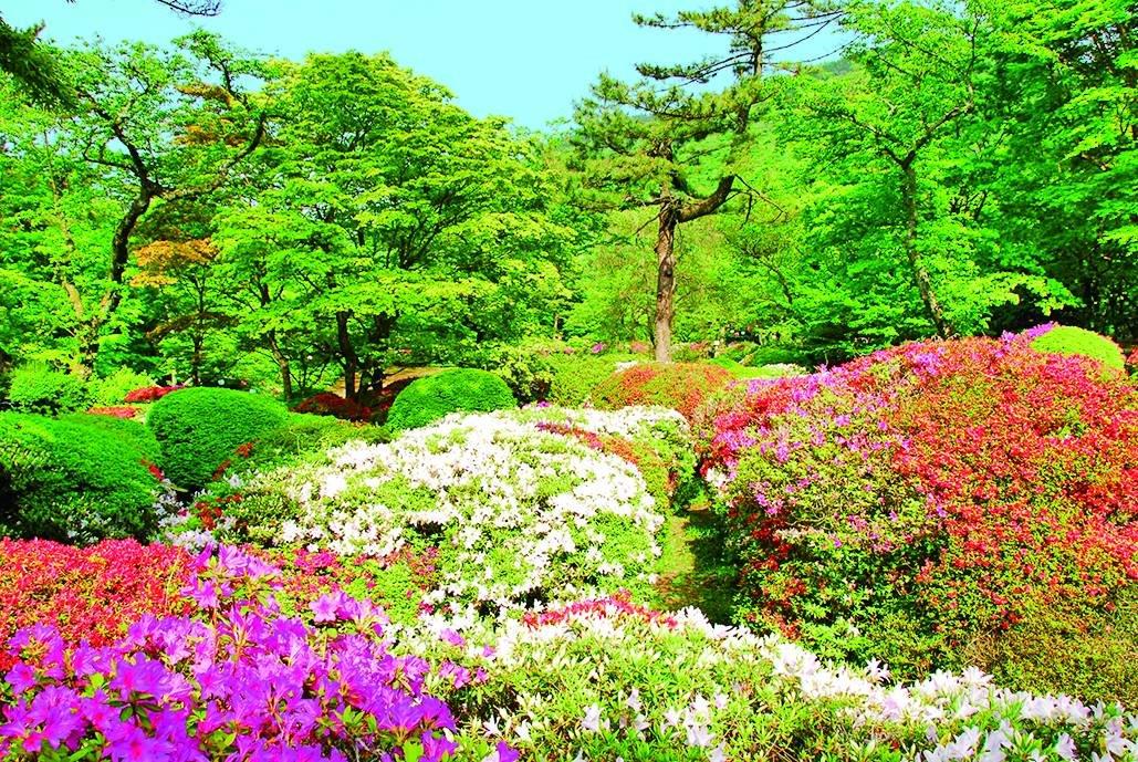 箱根小涌園 蓬莱園（ほうらいえん）