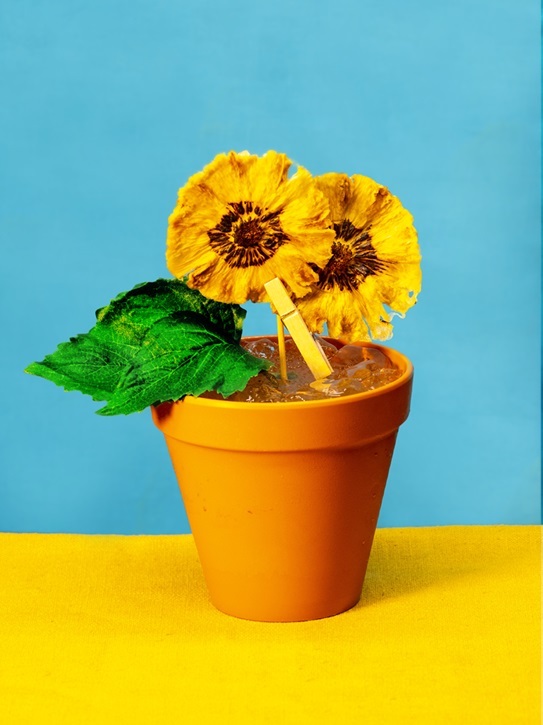 「Sunflower」2600円