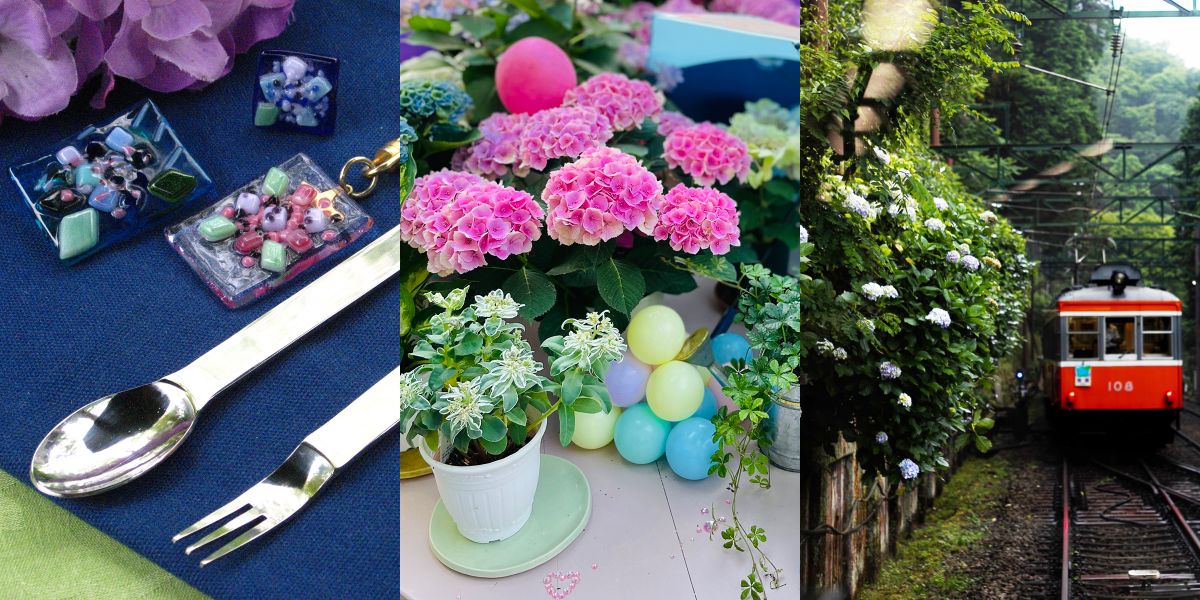 小物作りからスイーツまで！アジサイを心ゆくまで満喫できる箱根1日観光プラン