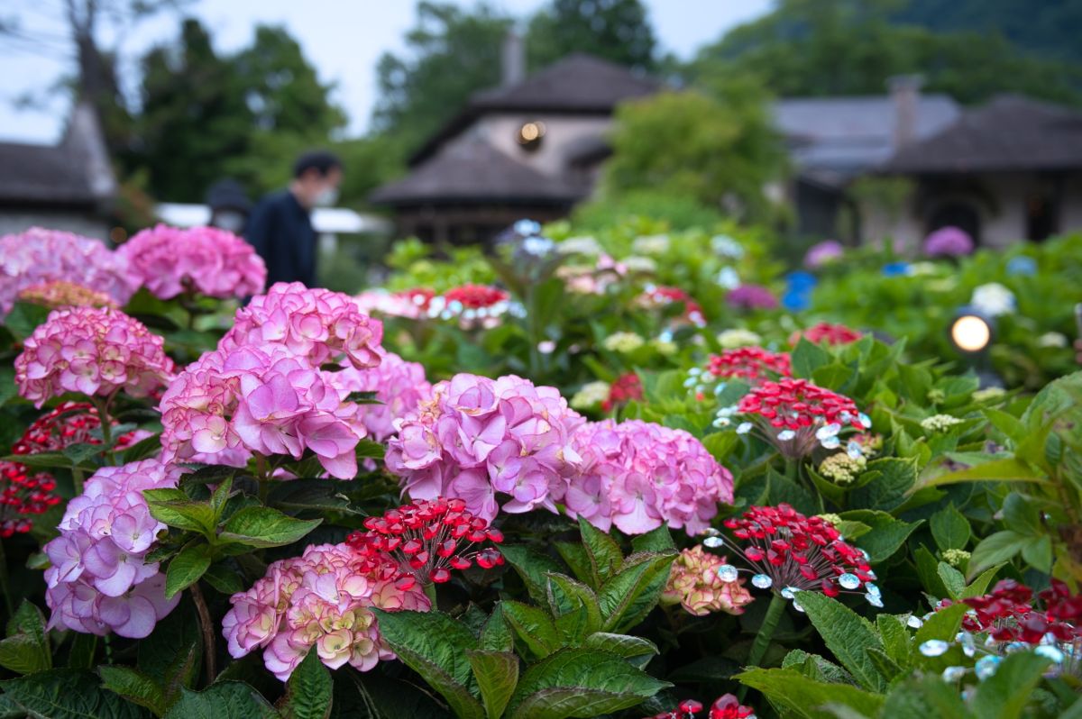 @箱根ガラスの森美術館