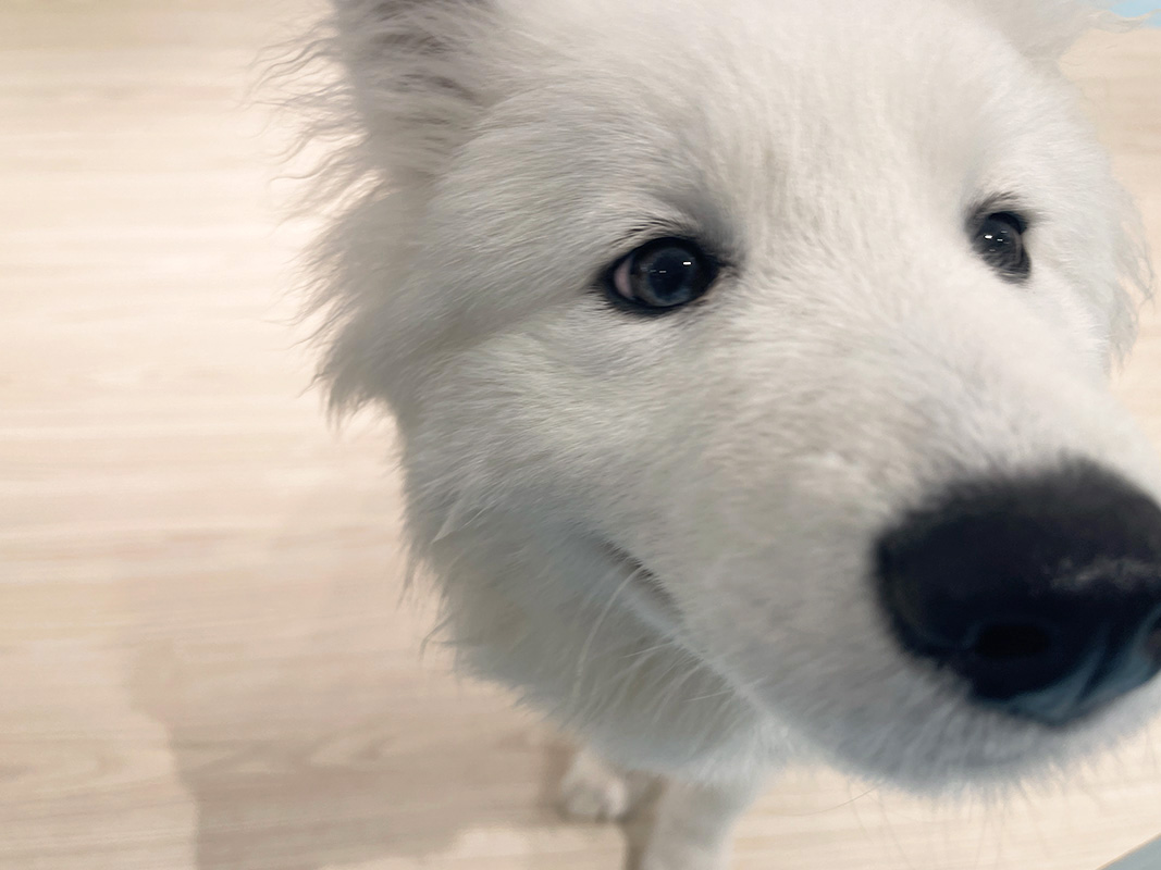 カメラに興味津々で近寄ってきてくれました♪