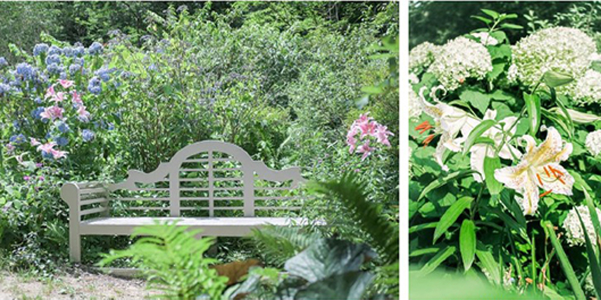 ROKKO  森の音ミュージアム