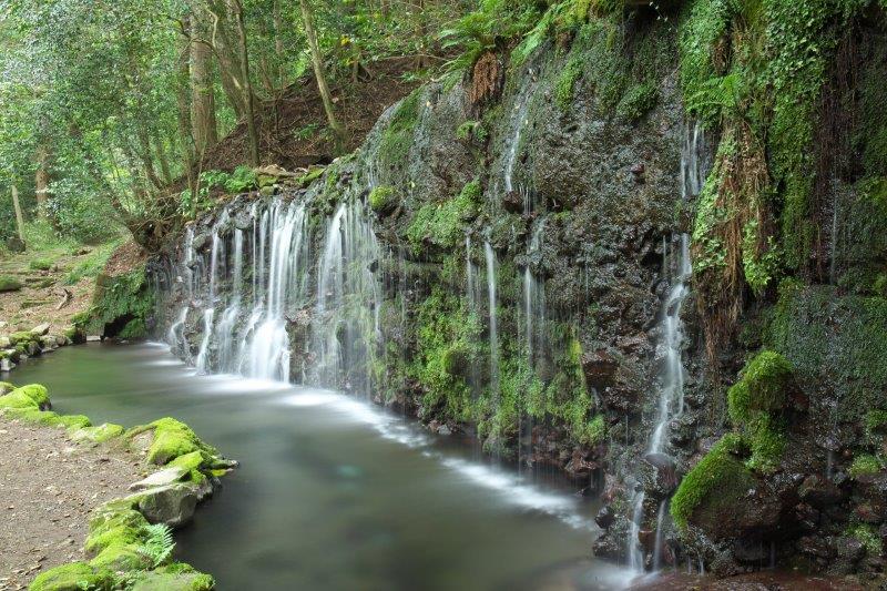 千条（ちすじ）の滝