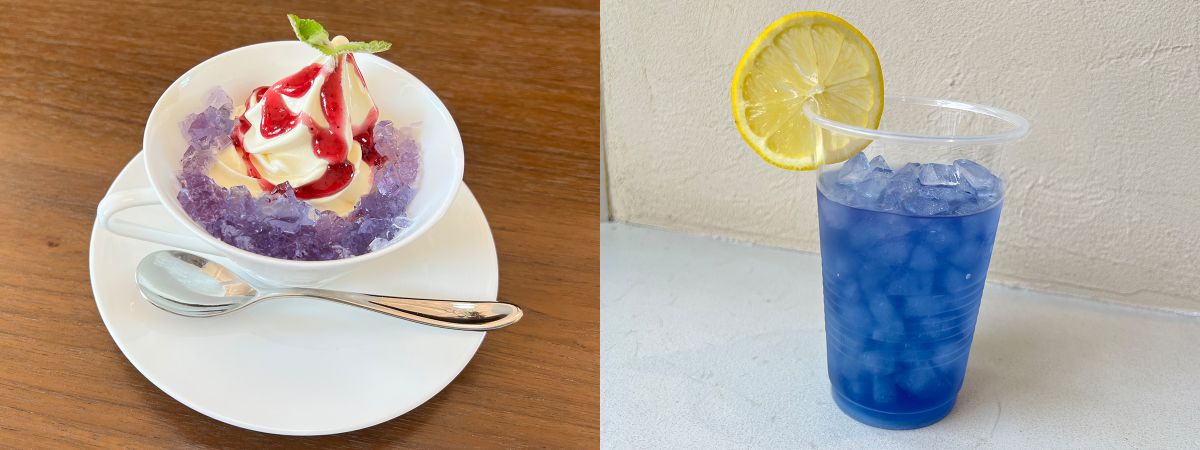 (写真左)「あじさいサンデー」660円（写真右）「バタフライピーチティー」600円※昨年の様子／@箱根強羅公園