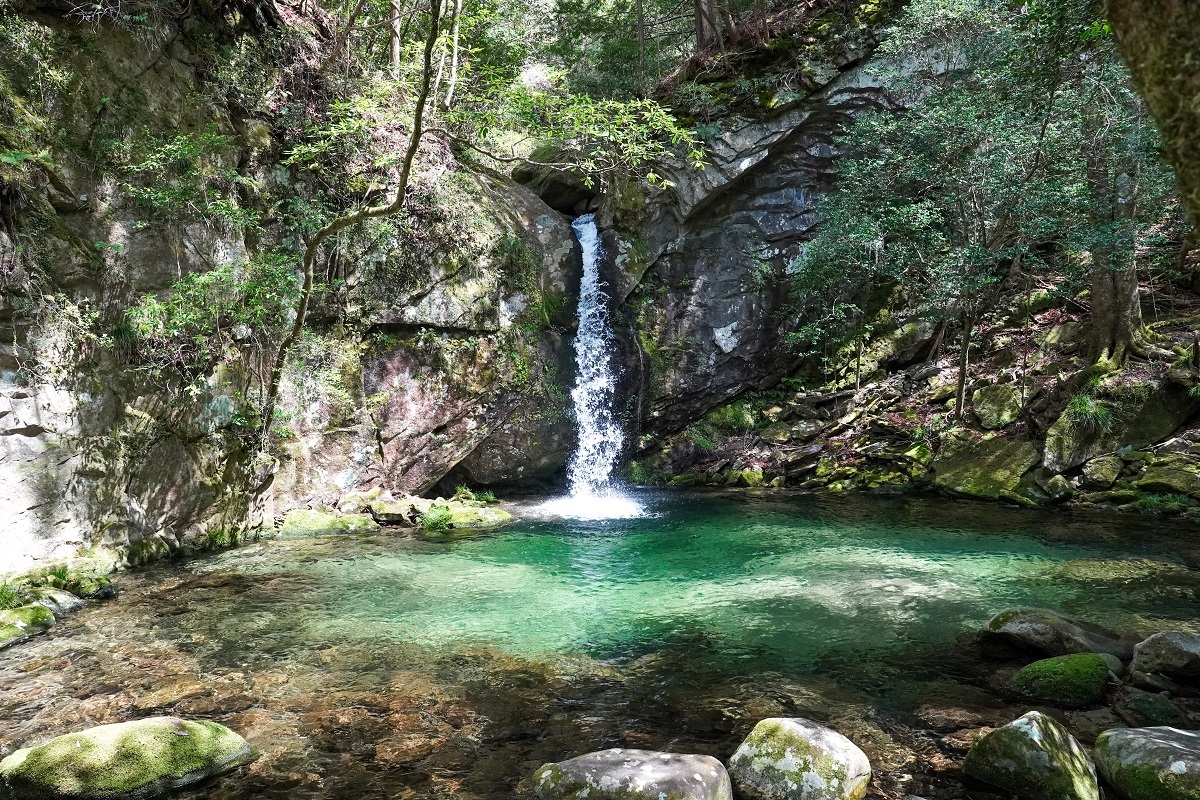 田辺市観光協会