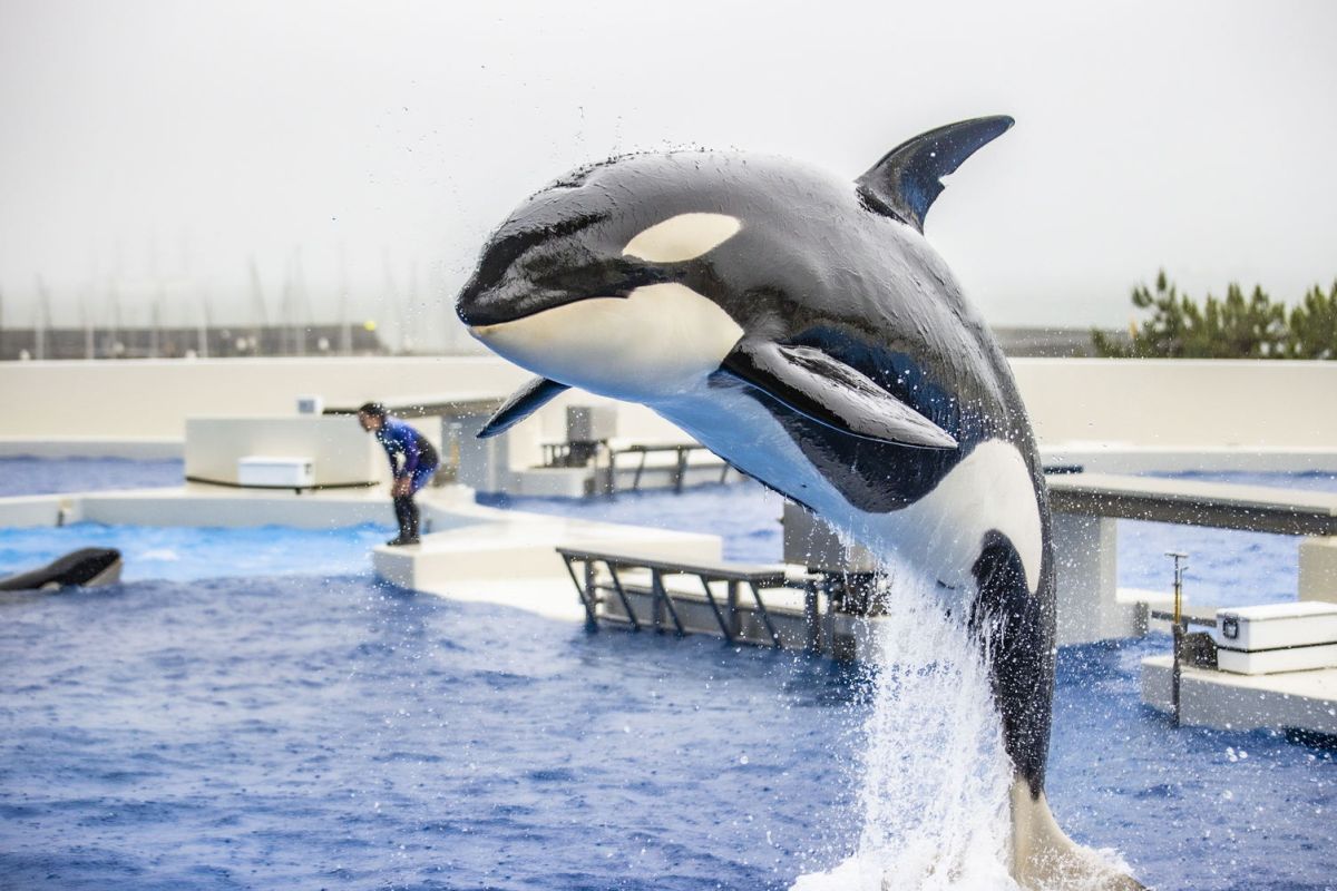 神戸須磨シーワールド