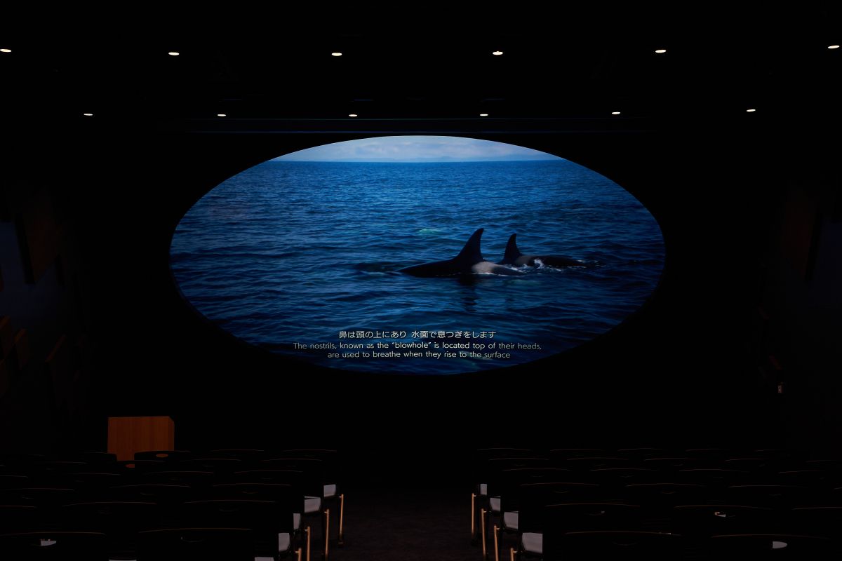 神戸須磨シーワールド