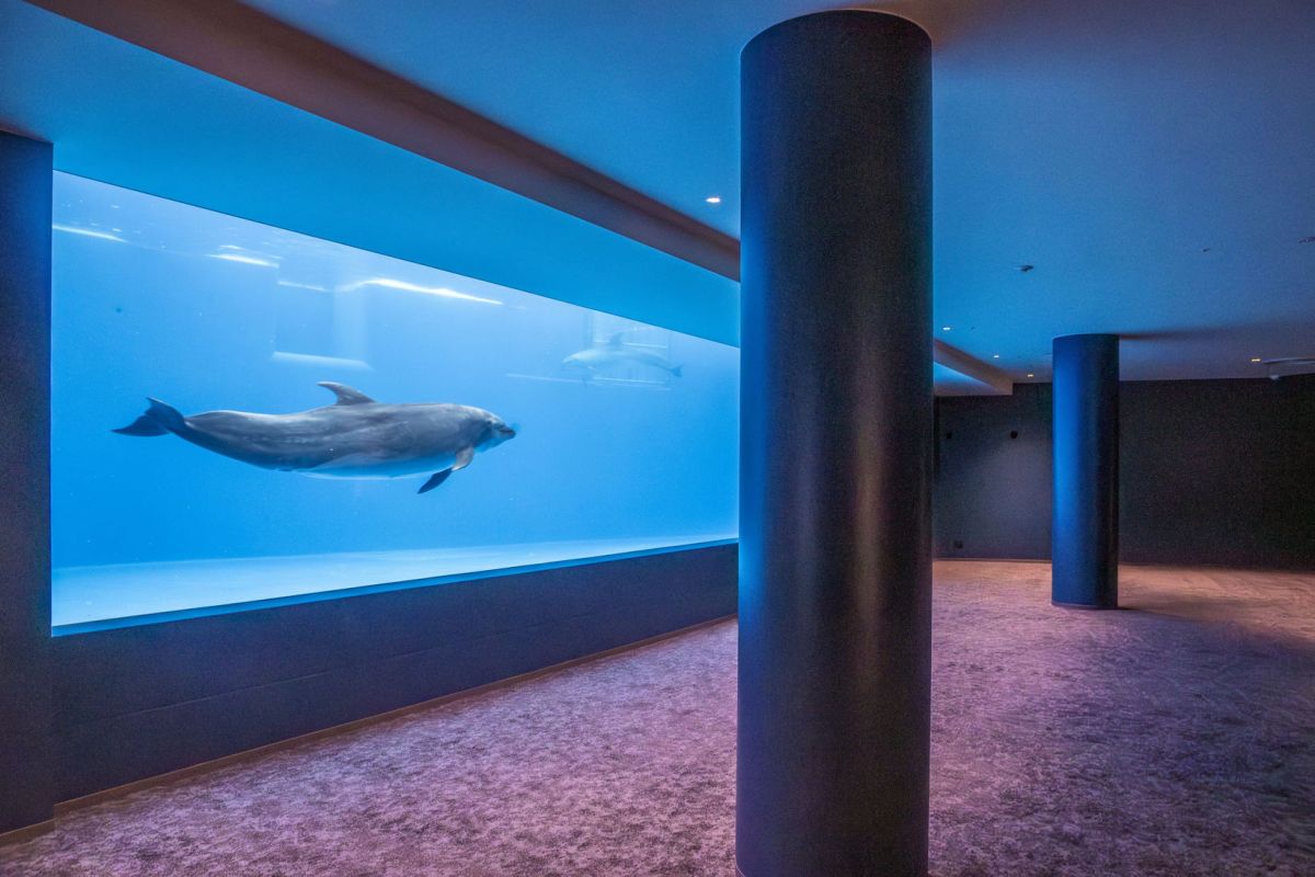 神戸須磨シーワールド