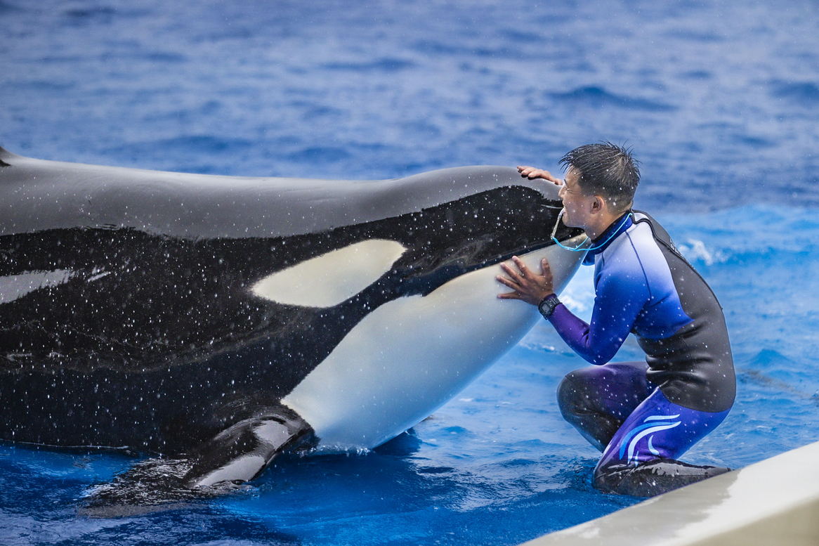 神戸須磨シーワールド