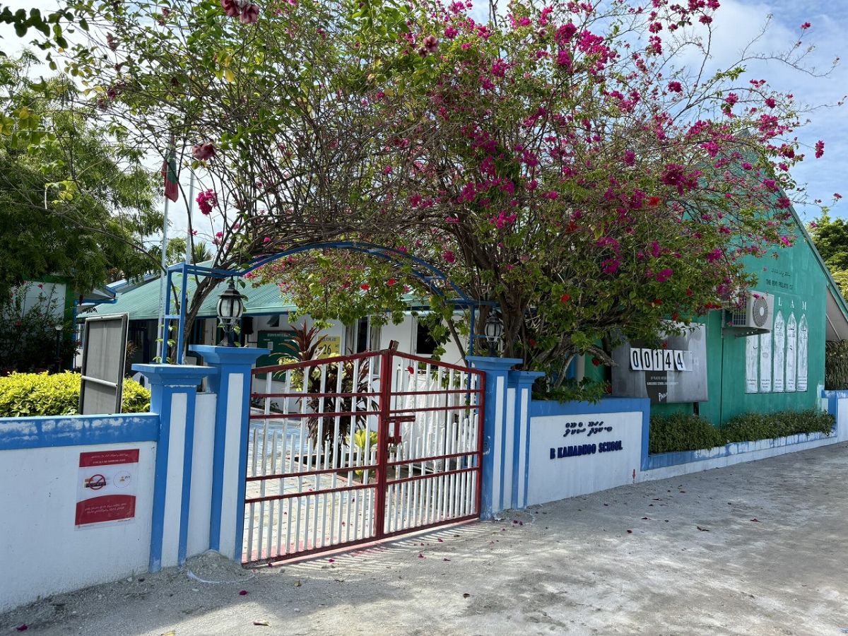 花が彩る島の小学校。笑顔いっぱいの子供たちに出会えます