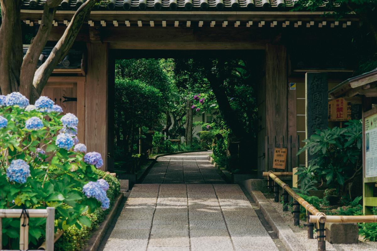 画像提供：報国寺