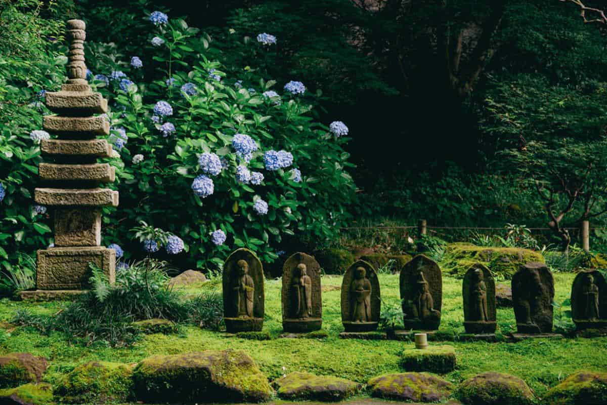 画像提供：報国寺