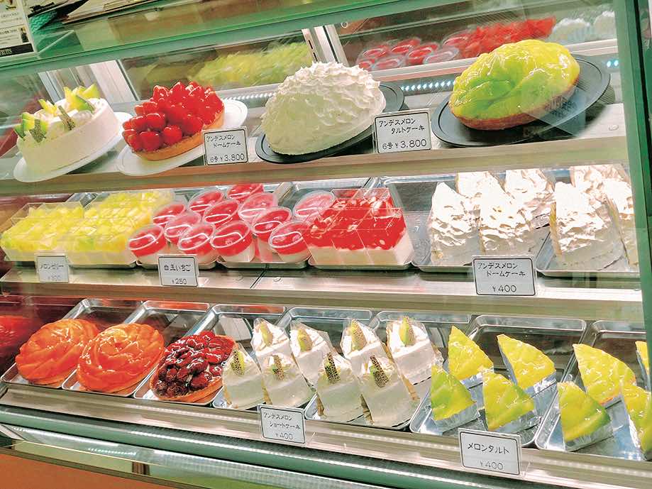 モギトーレ　フルーツ　ケーキ