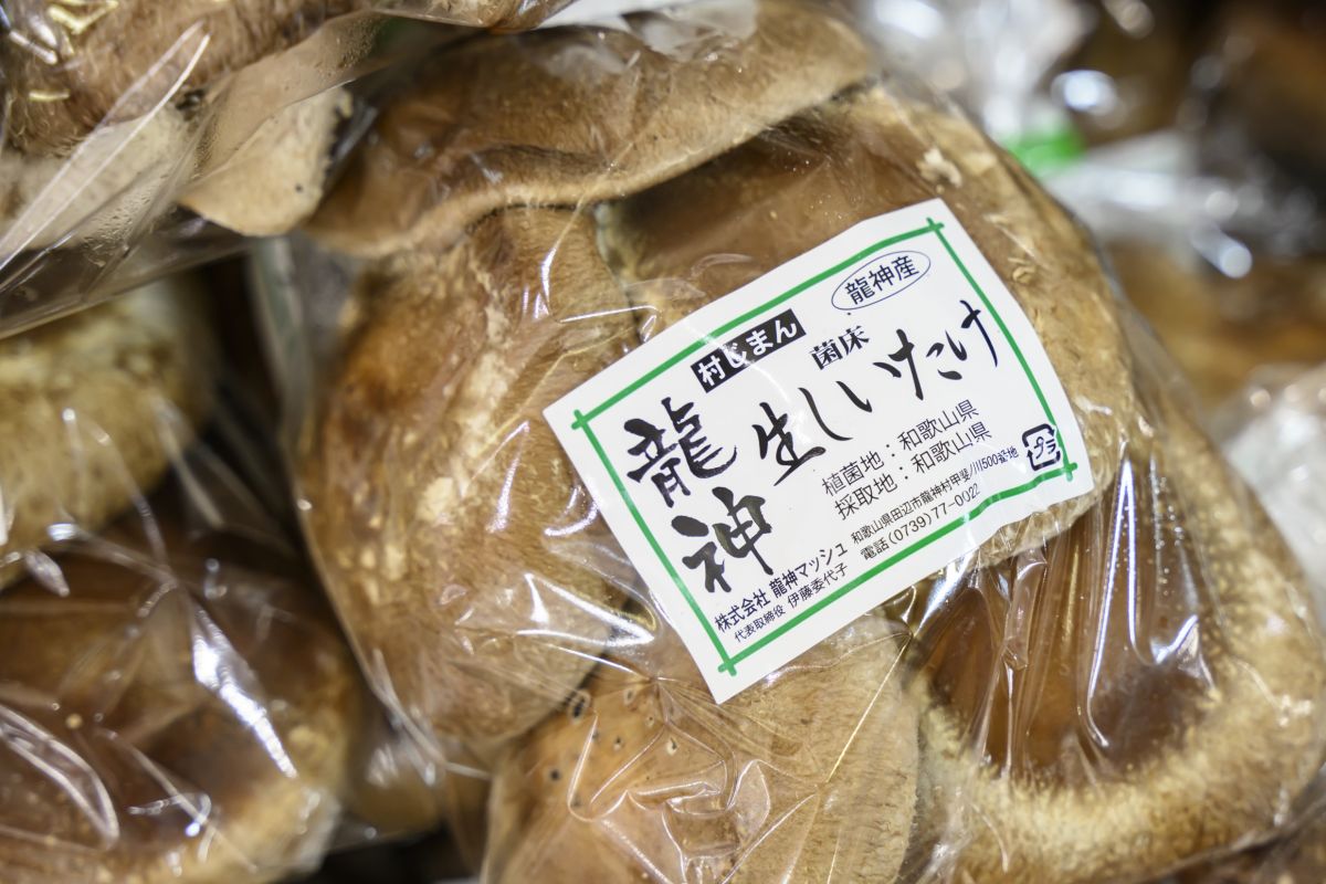 「龍神マッシュの生しいたけ」※サイズにより価格は異なる