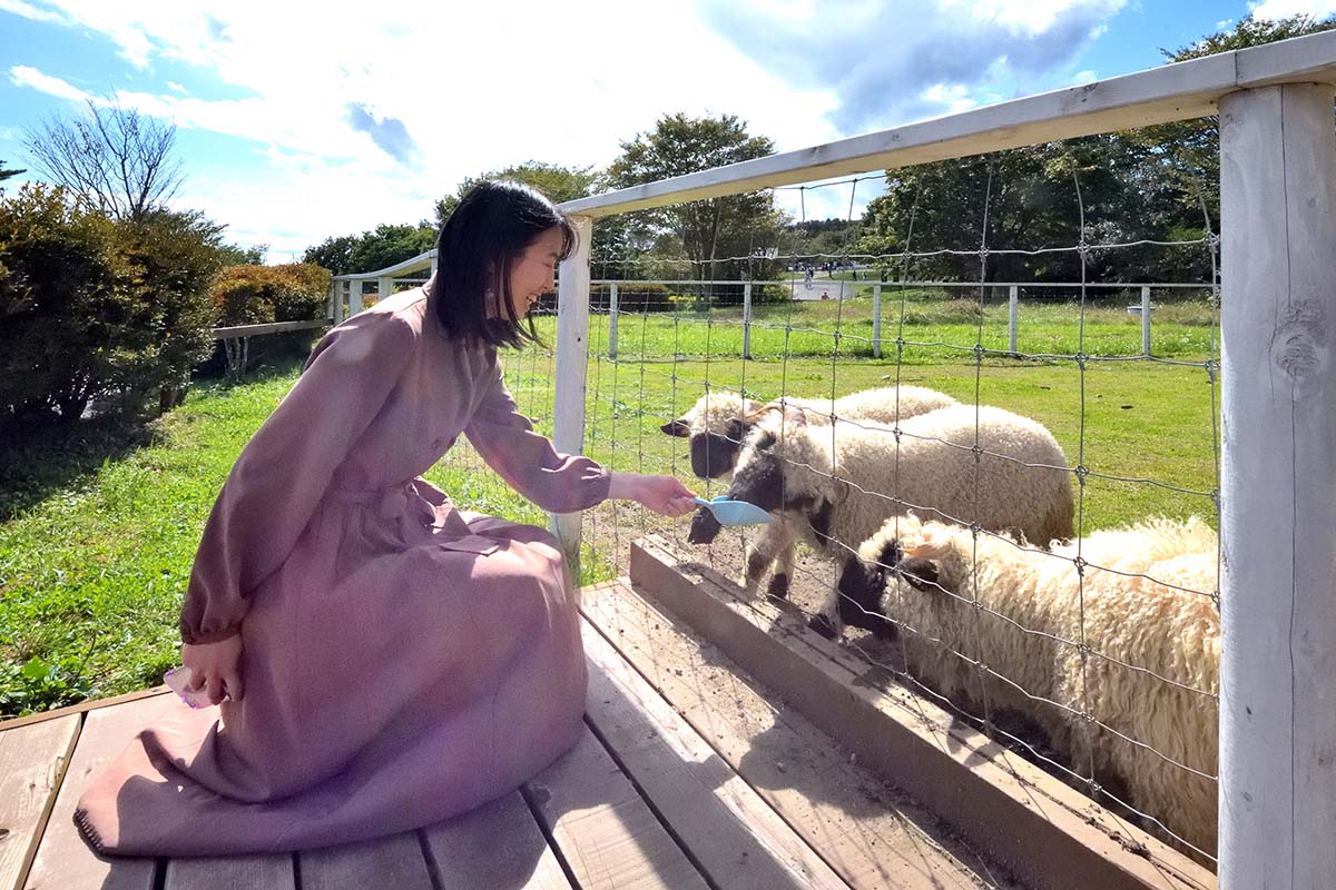 エサをあげるときは、スコップに載せてあげましょう。