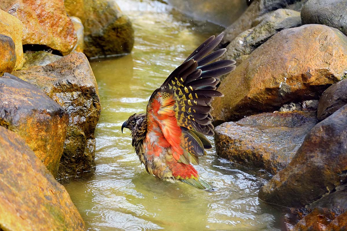 広い展示施設でゆったり過ごすケア