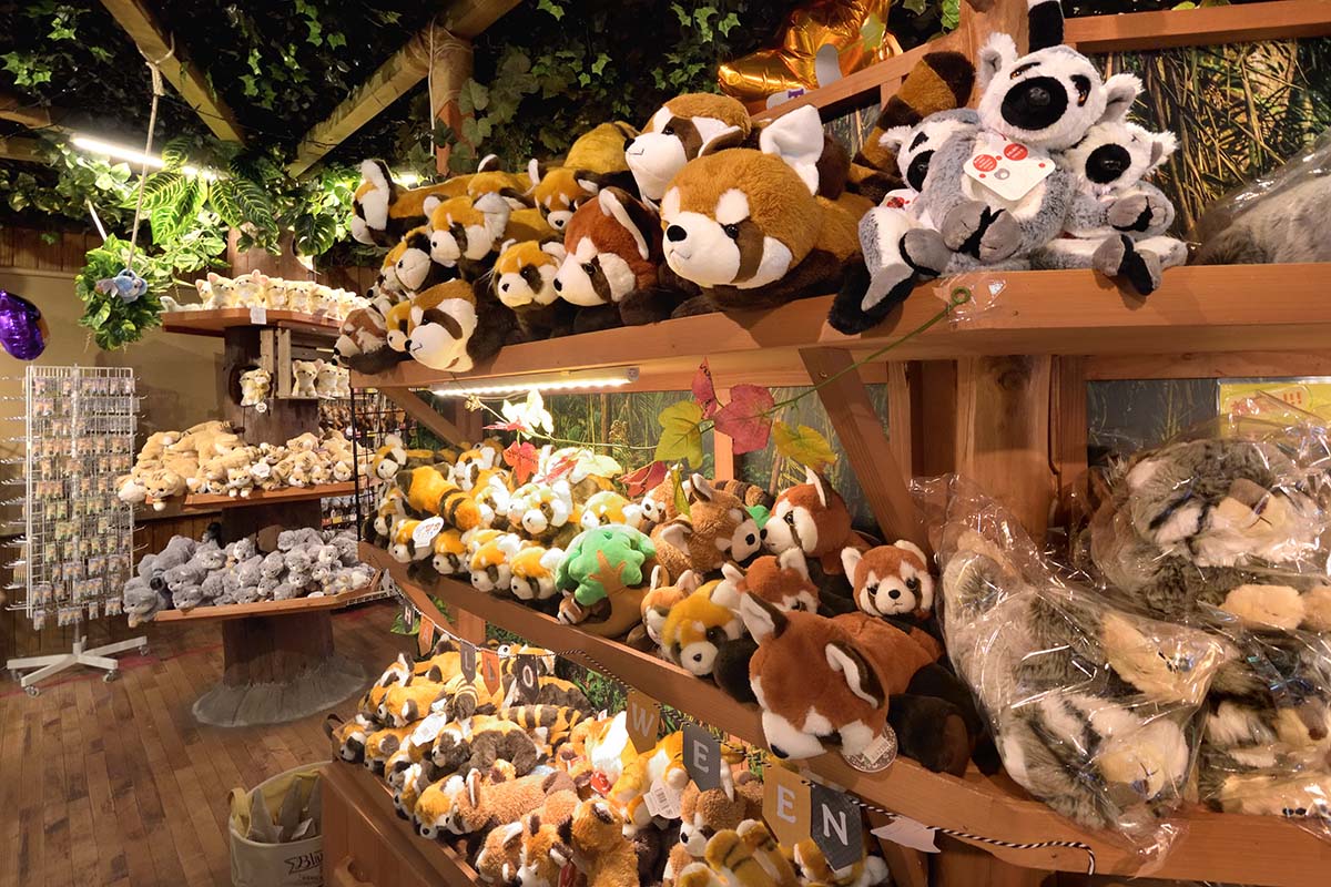 グッズが豊富に揃う王国タウン内「Pia Porta(ぴあ ぽるた)」