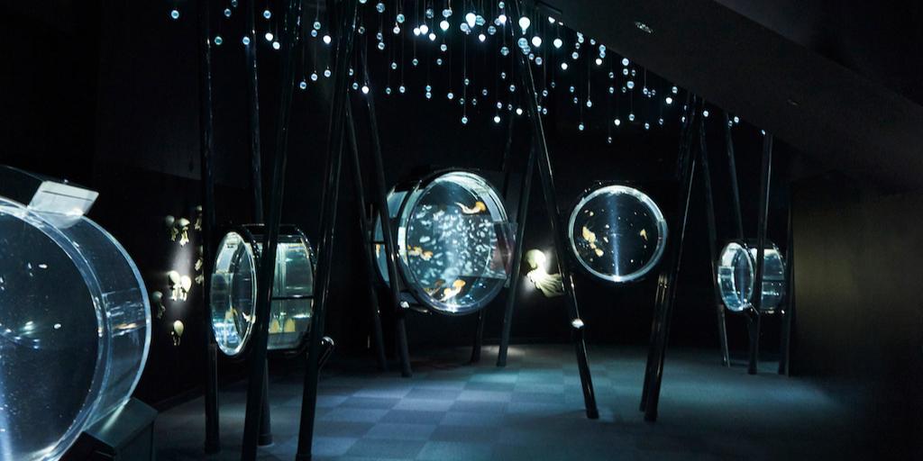 【大阪】雨の日でも楽しめるおでかけスポット27選