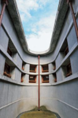 新富町文化市場U-mkt