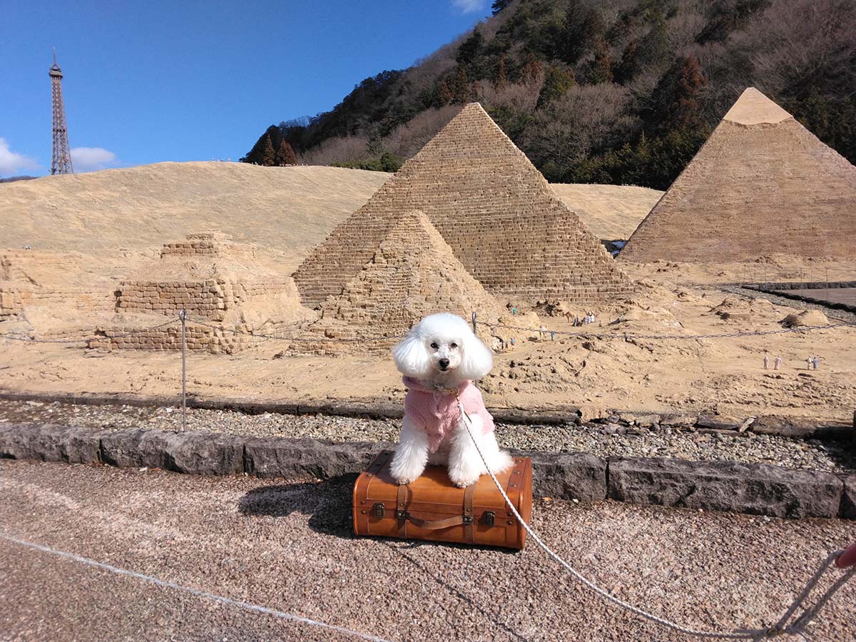 「東武ワールドスクウェア」愛犬の撮影にもぴったり