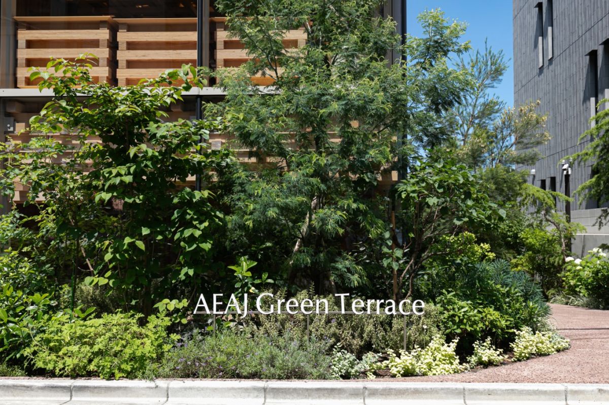 AEAJ Green Terrace