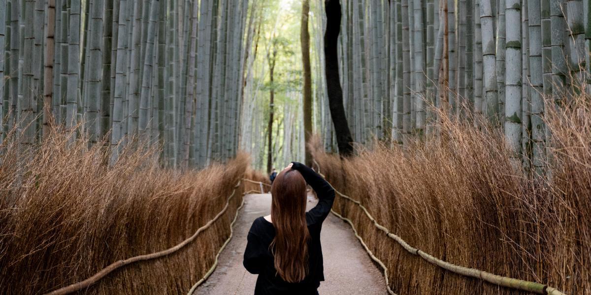 一年中楽しめる！京都の絶対にいくべき絶景スポット6選【SAORIの絶景おすそわけ VOL.2】