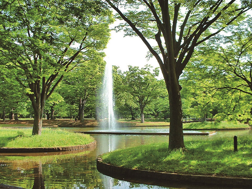 代々木公園