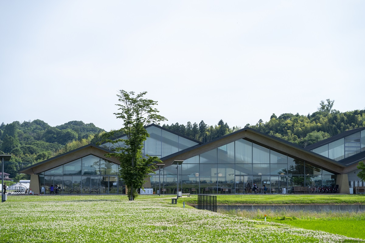 屋根は地元栃木県八溝杉。このために伐採し加工したもの