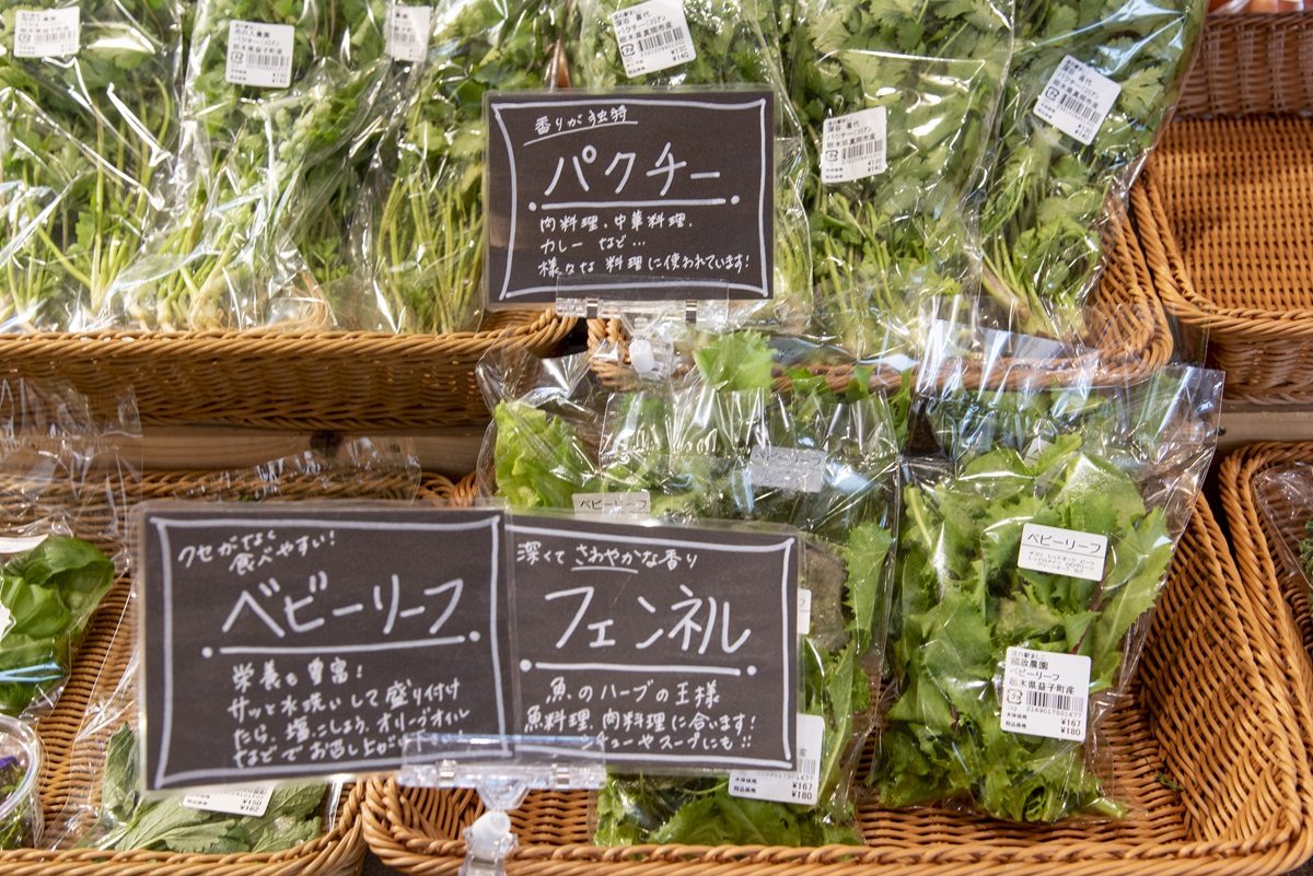 新鮮そのものなのに、土付きでなくオシャレなのが益子らしい