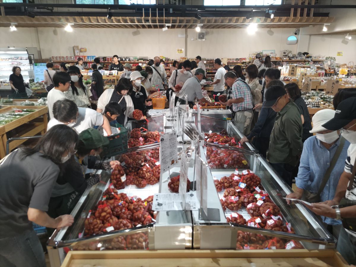 収穫期には生栗を求める人で賑わう