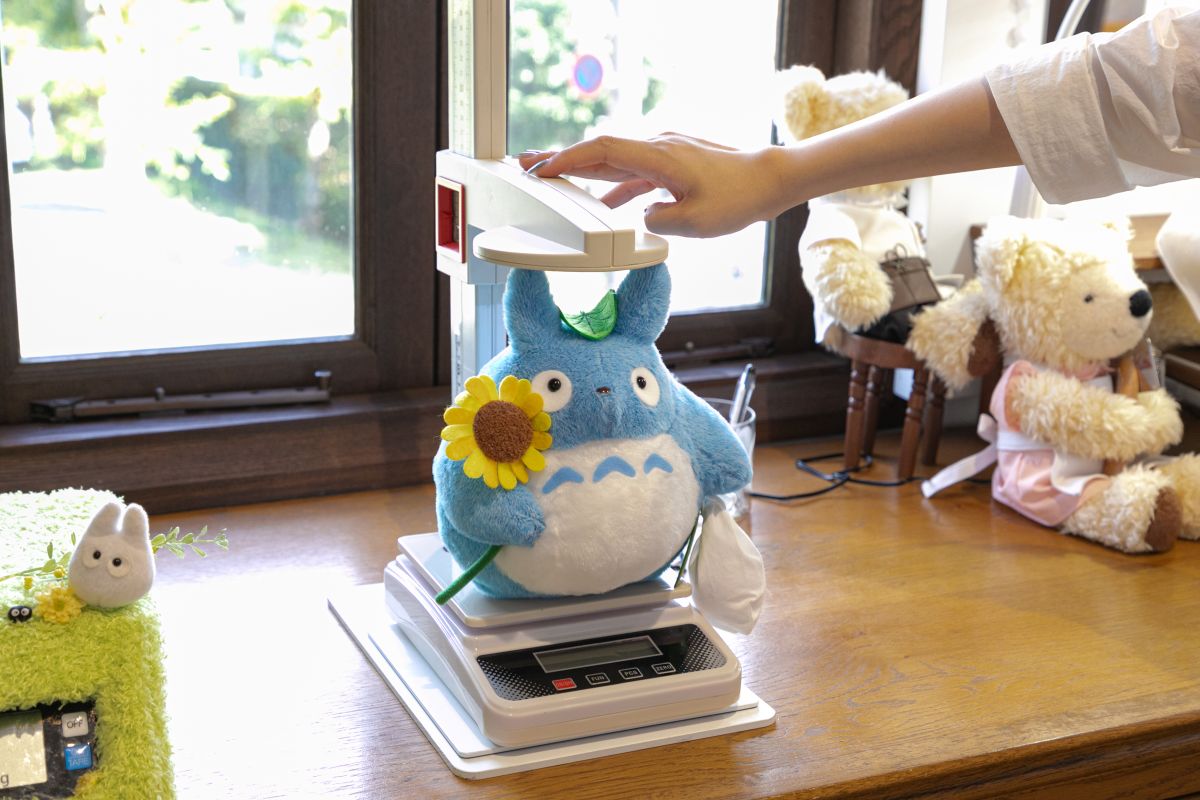 トトロの身体測定