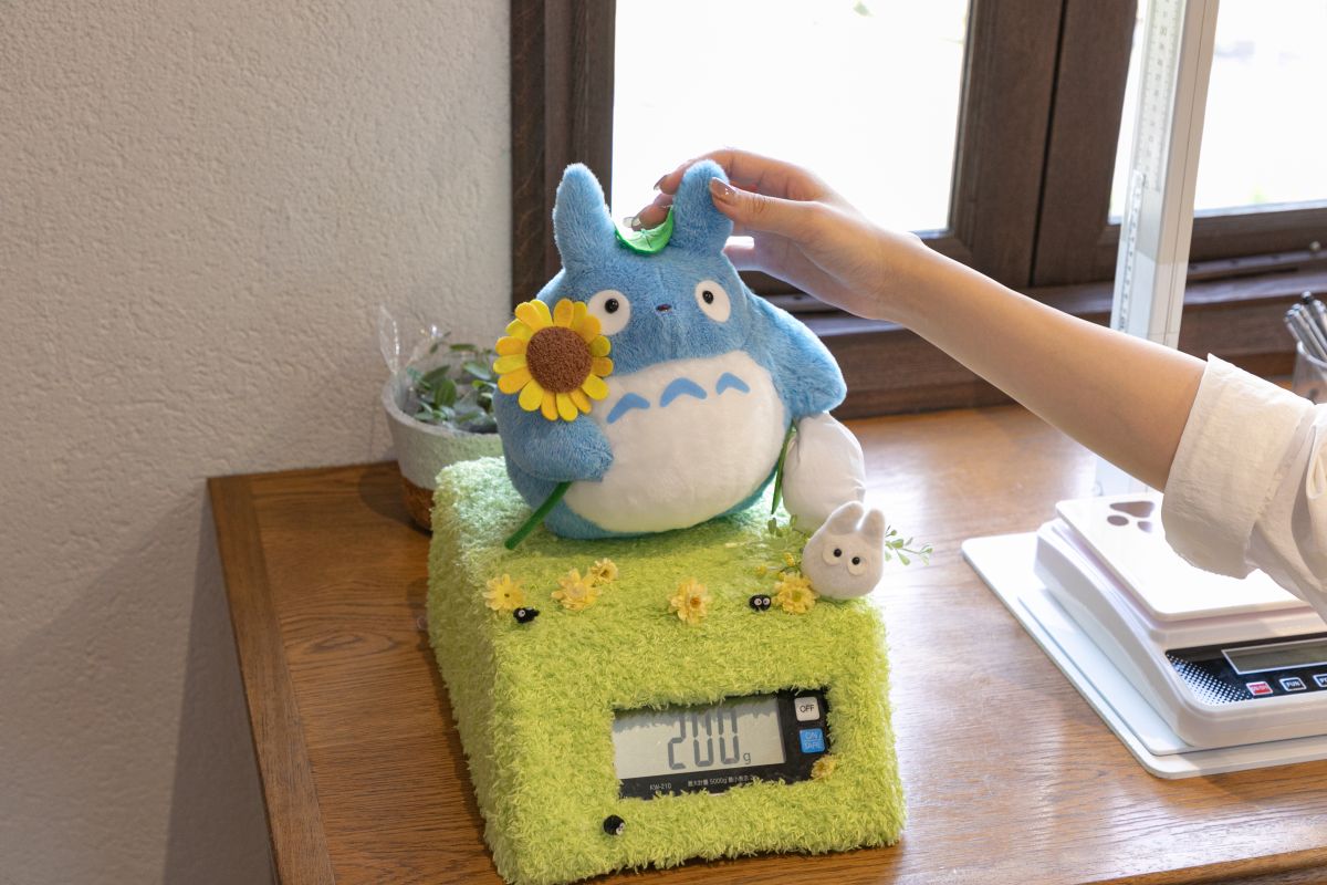 トトロの身体測定