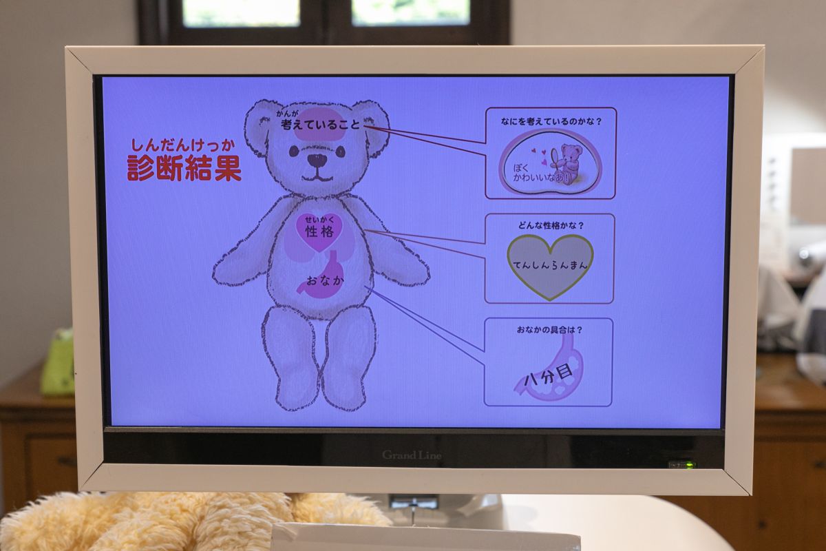 トトロの診断結果