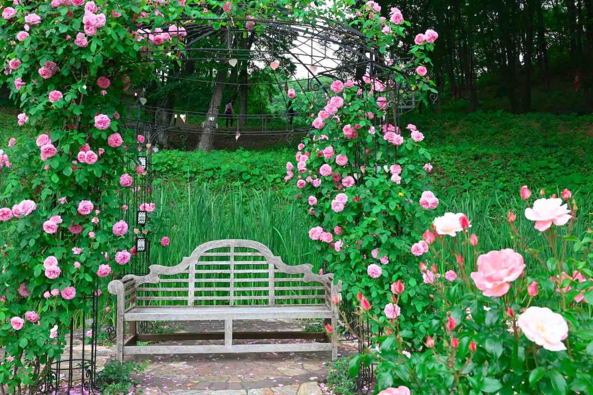 バラに彩られたフォトスポットも