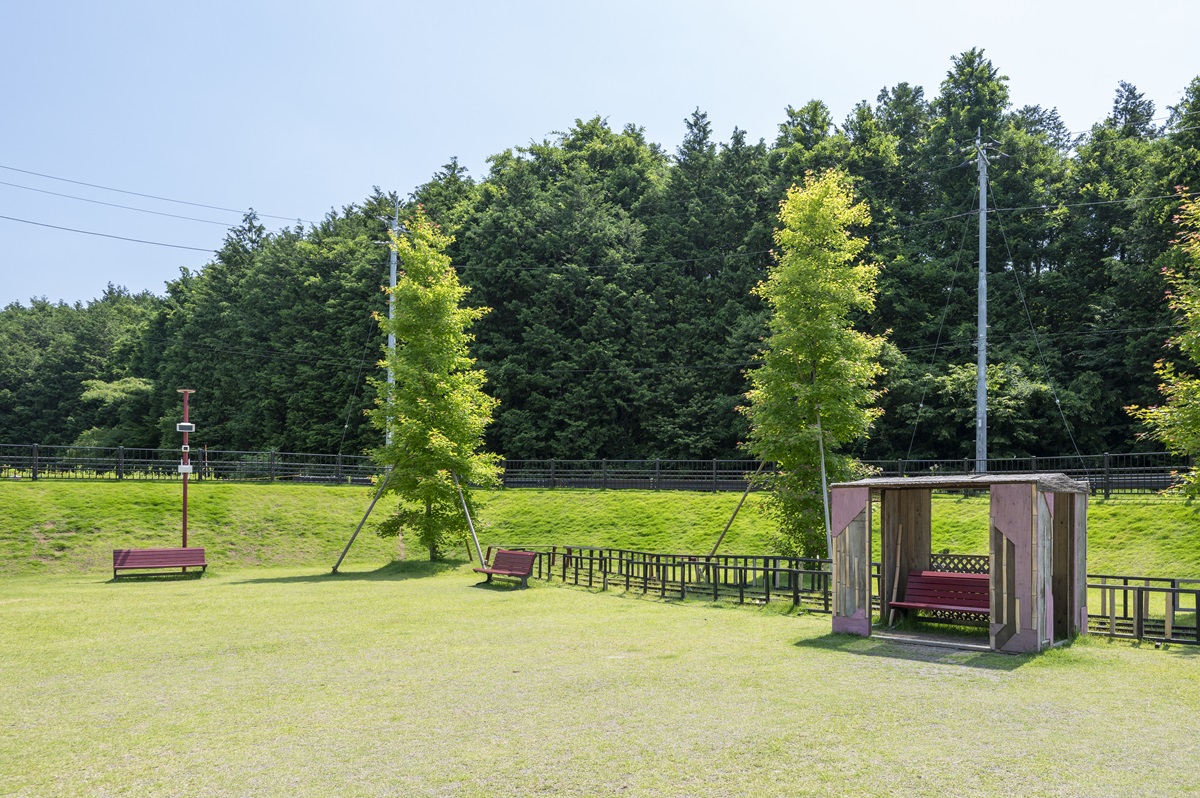 手入れの行き届いた緑の芝生の上でキャンプ
