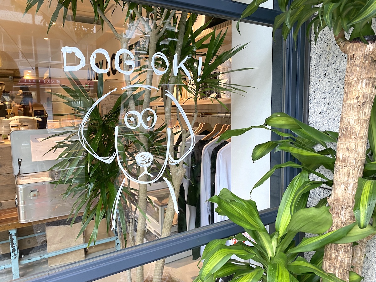 松本セイジさんが入口の窓に描いた犬