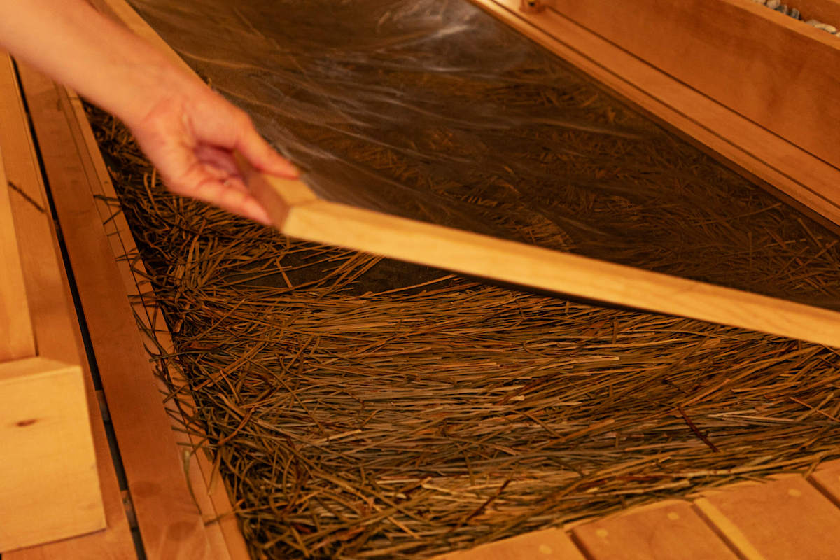 伊豆半島南西端、・牛原山麓の伊那下神社で育った石菖を使用