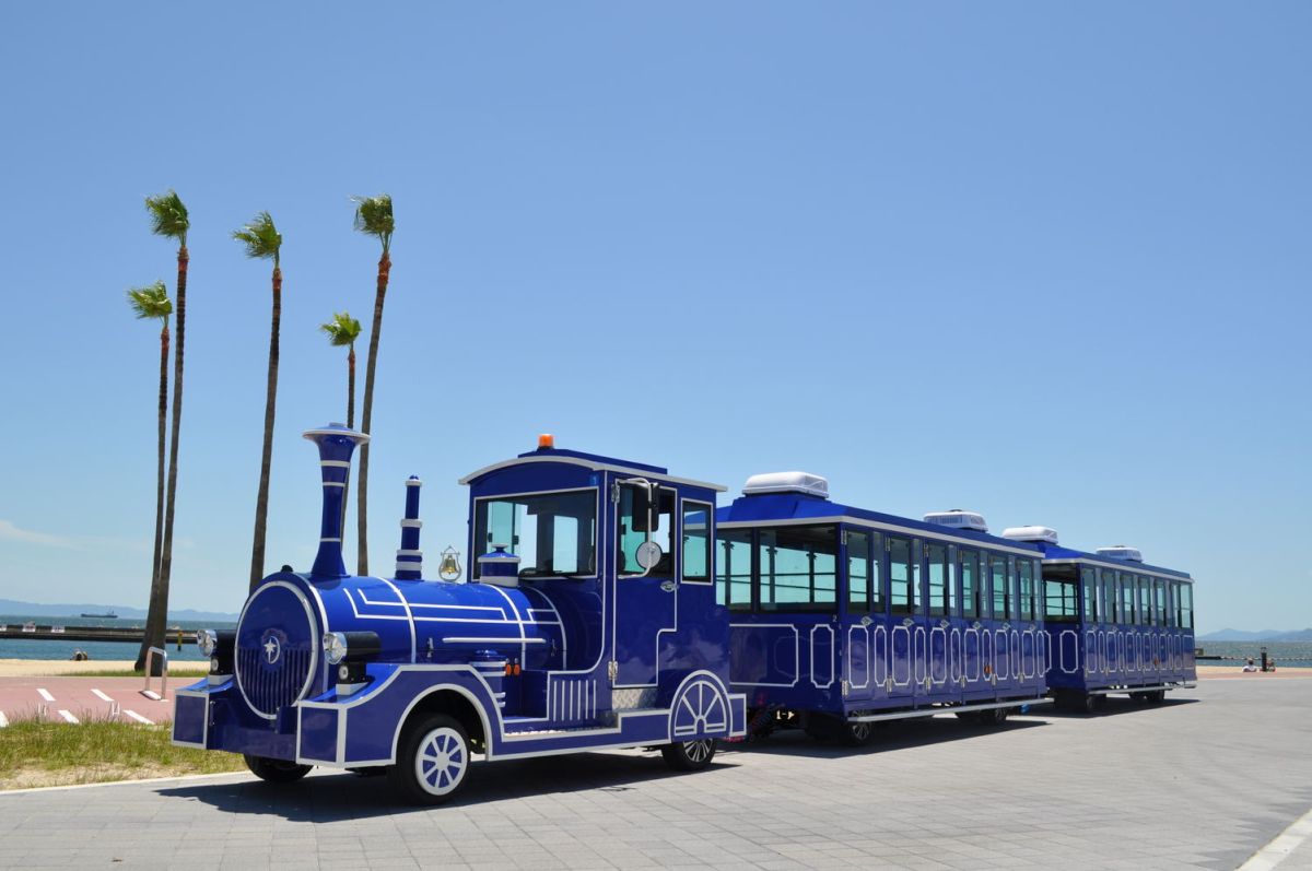 ビーチトレイン