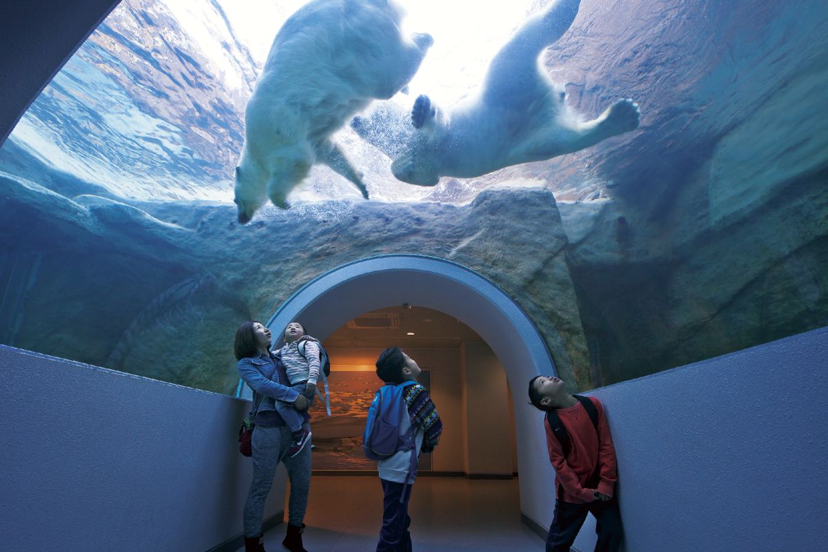 【静岡・日本平】静岡市立日本平動物園／体験型展示が人気のアニマルパーク