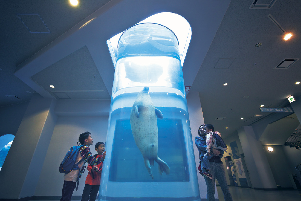 静岡県立日本平動物園