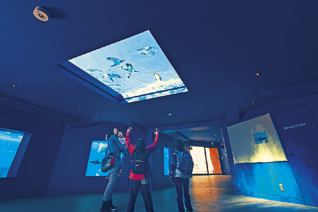 静岡県立日本平動物園