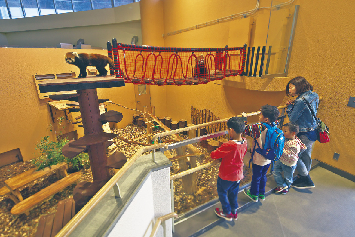 静岡県立日本平動物園