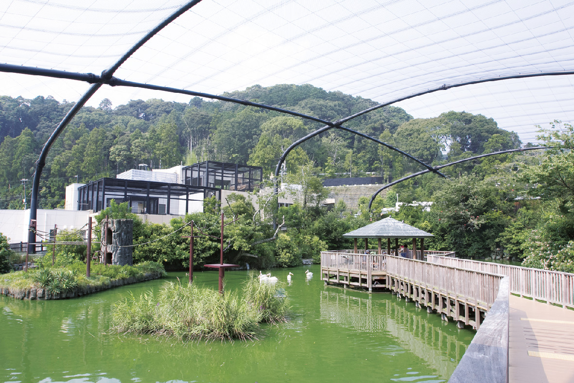 静岡県立日本平動物園