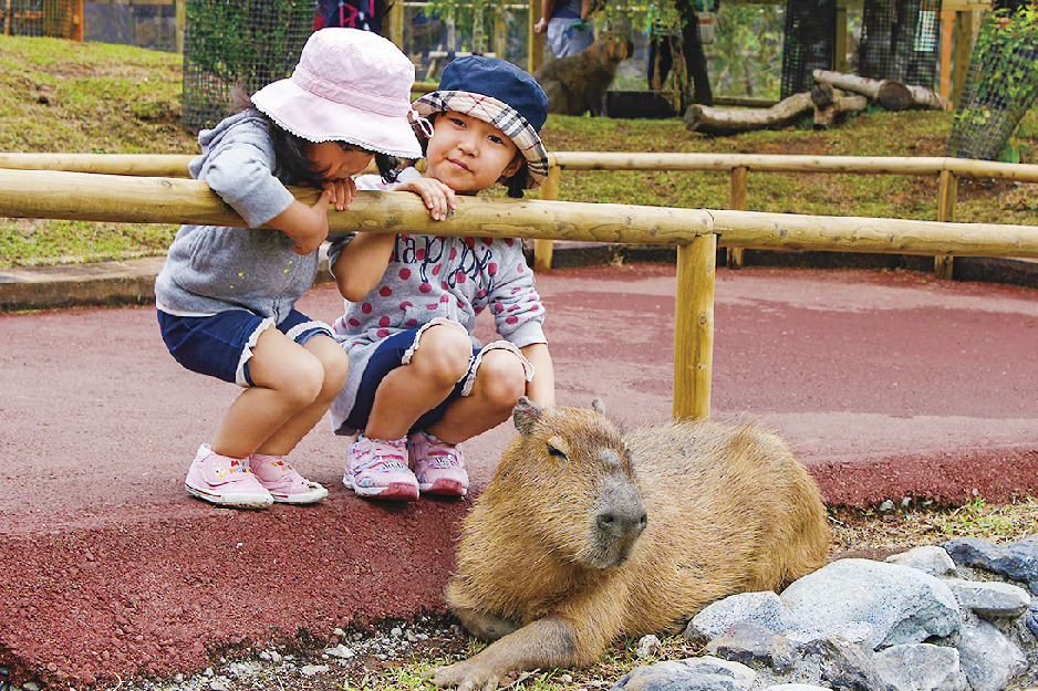 富士サファリパーク