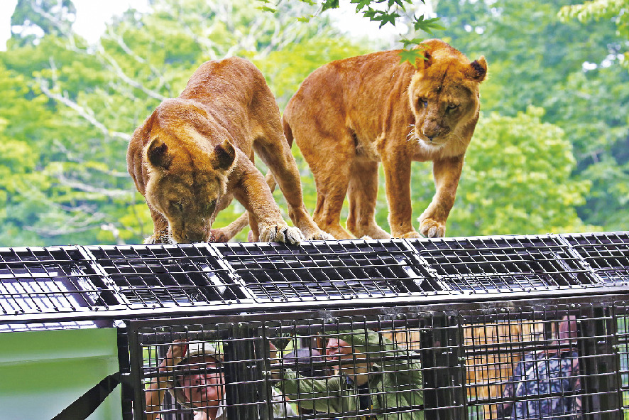 富士サファリパーク