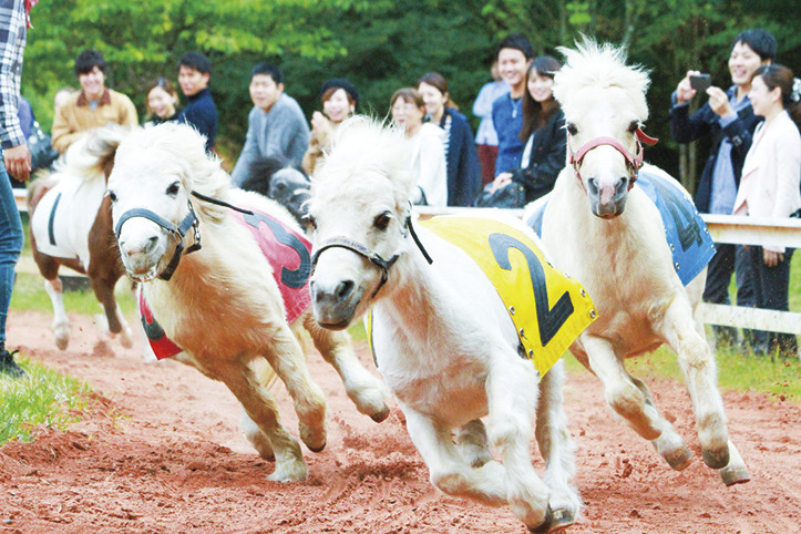 富士サファリパーク
